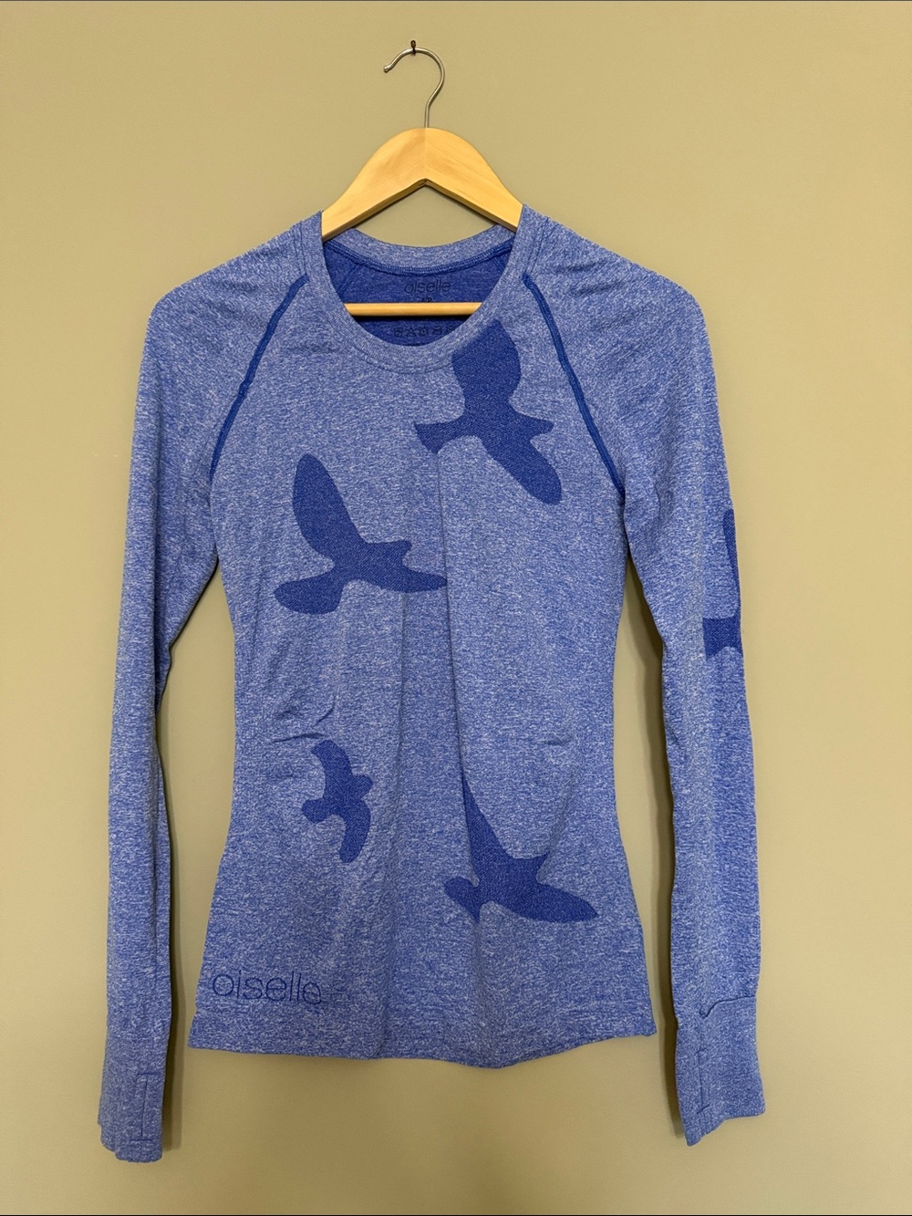 oiselle Blue Long Sleeve Bird-Graphic Performance Tee
